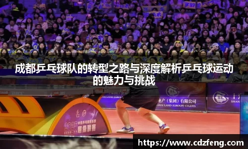 成都乒乓球队的转型之路与深度解析乒乓球运动的魅力与挑战
