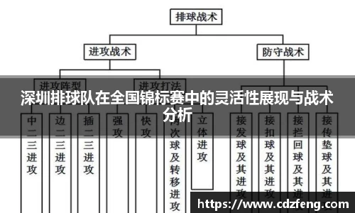 深圳排球队在全国锦标赛中的灵活性展现与战术分析